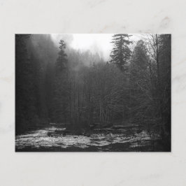 Cartão Postal Cartão-postal - Misty Salmon River, Oregon