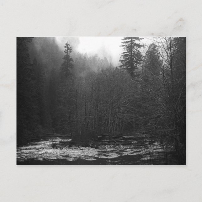 Cartão Postal Cartão-postal - Misty Salmon River, Oregon (Frente)