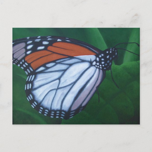 Cartão Postal Cartão-postal Monarca (Frente)