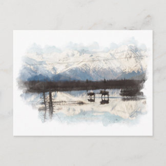 Cartão Postal Cartão-postal Moose