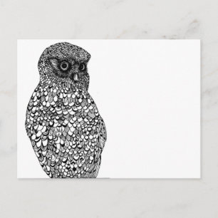 Cartão Postal Cartão-postal Morepork