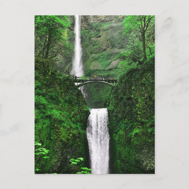 Cartão Postal Cartão-postal Multnomah Cai 1-2 (Frente)