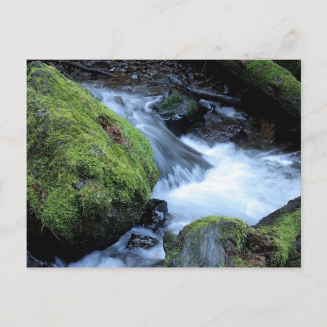 Cartão Postal Cartão-postal Munson Creek (Frente)