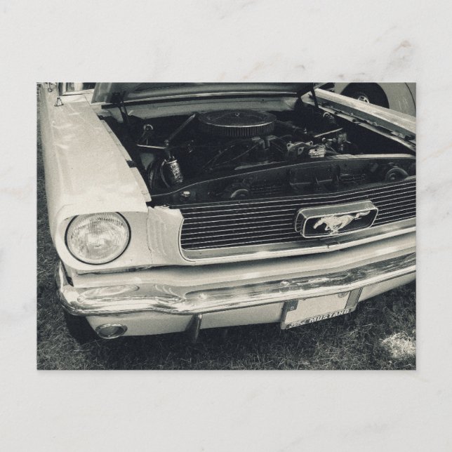 Cartão Postal Cartão-postal Mustang (Frente)