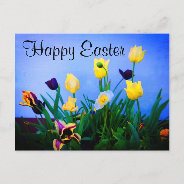 Cartão Postal Cartão-postal nº 2 de felz pascoa com várias tulip (Frente)