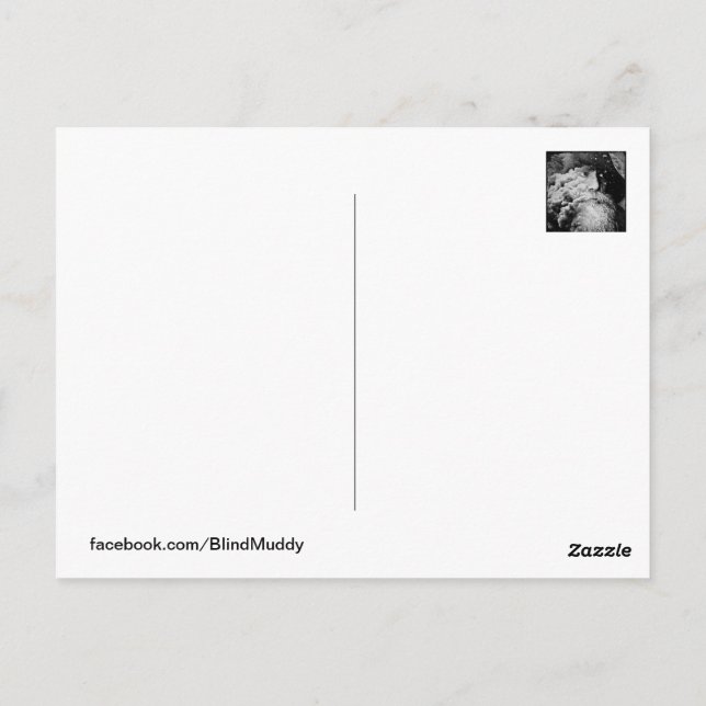 Cartão Postal Cartão-postal nº 2, visões cegas (Verso)