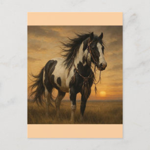 Cartão Postal Cartão-postal Nativo Americano Paint Horse - Kange