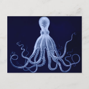 Cartão Postal Cartão-postal Octopus