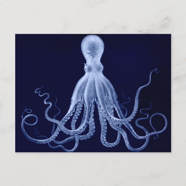 Cartão Postal Cartão-postal Octopus (Frente)