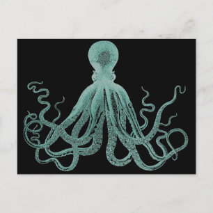 Cartão Postal Cartão-postal Octopus Azul