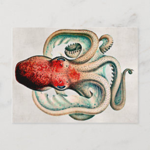 Cartão Postal Cartão-postal Octopus Vintage