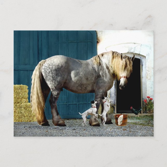 Cartão Postal Cartão-postal "Odin & The Twins" (Frente)