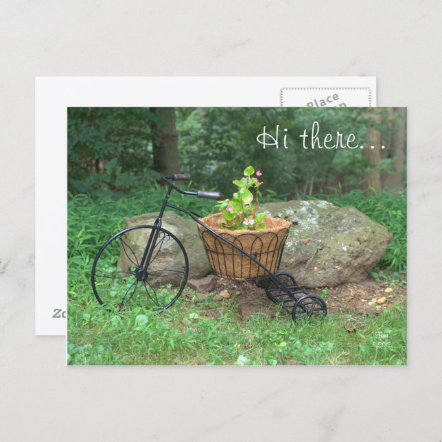 Cartão Postal Cartão-Postal Olá. Flores Rosa Bicicletas na Cesta (Frente/Verso)