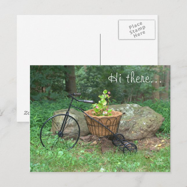 Cartão Postal Cartão-Postal Olá. Flores Rosa Bicicletas na Cesta (Frente/Verso)