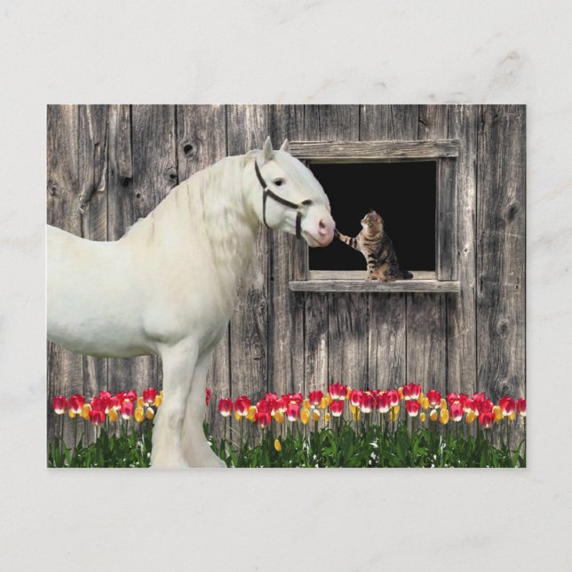 Cartão Postal Cartão-postal "One Primavera Morning" (Frente)