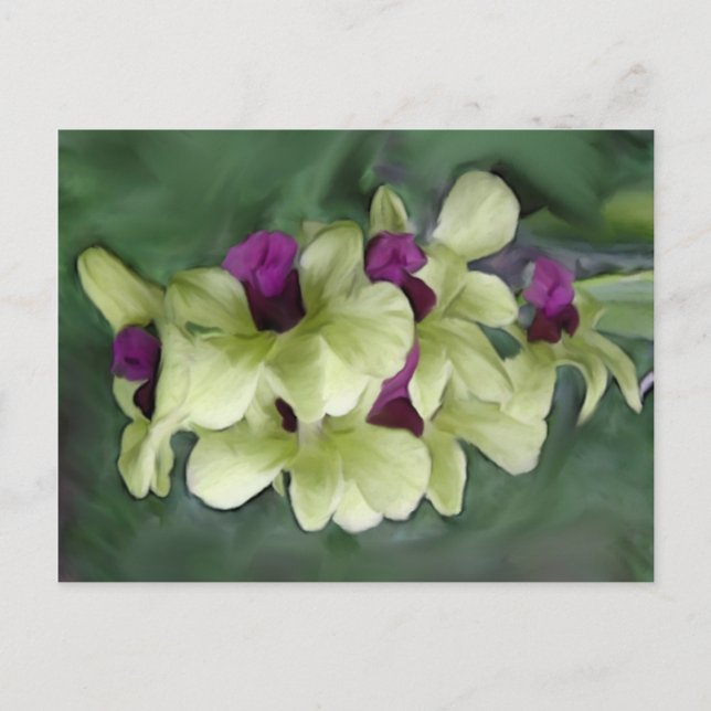 Cartão Postal Cartão-postal Orchid (Frente)