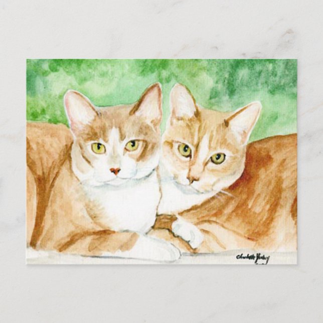 Cartão Postal Cartão-postal original das Irmãs Gatos Amarelos (Frente)