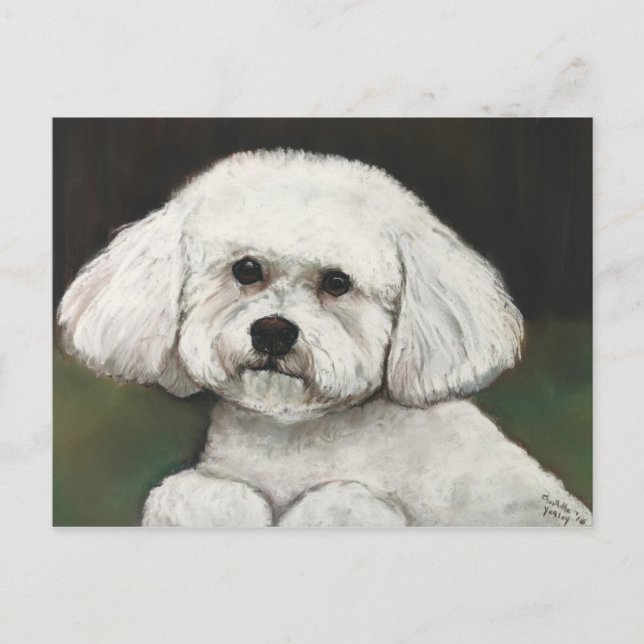 Cartão Postal Cartão-postal original de arte canina Bichon Frise (Frente)