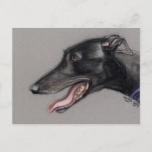 Cartão Postal Cartão-postal original de arte canina Black Greyh