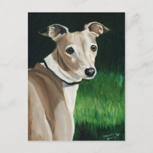 Cartão Postal Cartão-postal original de arte canino italiano Gr