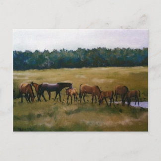 Cartão Postal Cartão-postal original de arte Mares e Foals