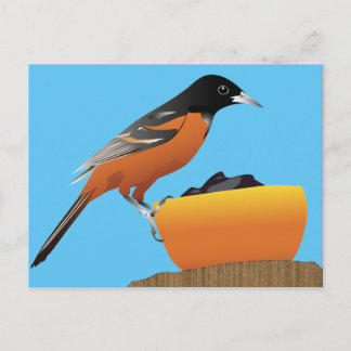 Cartão Postal Cartão-postal Oriole