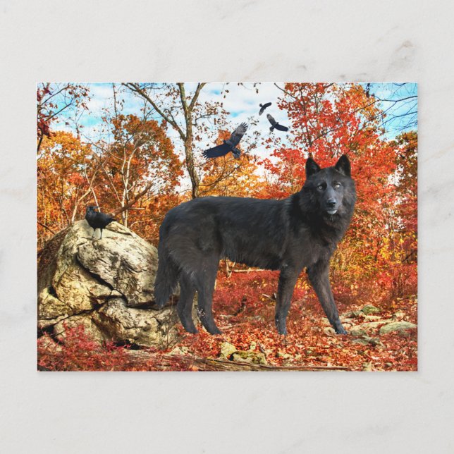 Cartão Postal Cartão-postal "Orion & The Crows" (Frente)