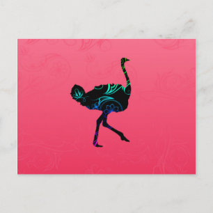 Cartão Postal Cartão-postal Ostrich abstrato