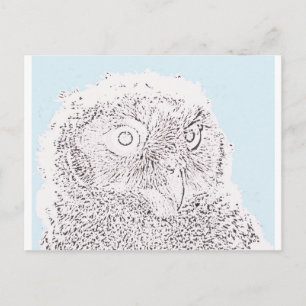 Cartão Postal Cartão-postal - Owlet to Color