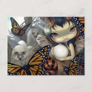 Cartão Postal Cartão-postal "Owlyn in in the Nest"