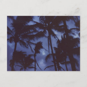 Cartão Postal Cartão-postal PalmTrees à Lua