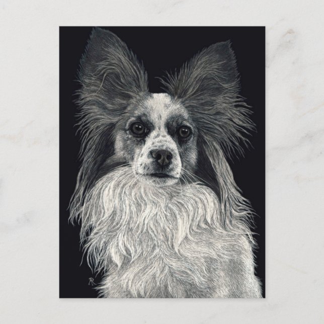 Cartão Postal Cartão-postal Papillon - "Sparkles" (Frente)