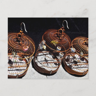 Cartão Postal Cartão-postal para 3 Pequenas Aves na China