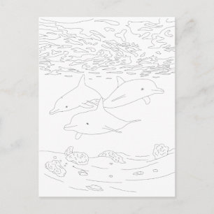 Cartão Postal Cartão-postal para a cor do adulto Dolphin Pod