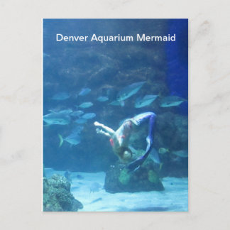 Cartão Postal Cartão-postal para a Sereia do Aquário Denver