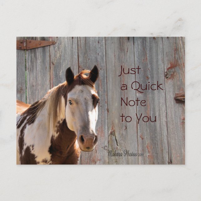 Cartão Postal Cartão-postal para cavalos e madeira de galhardete (Frente)