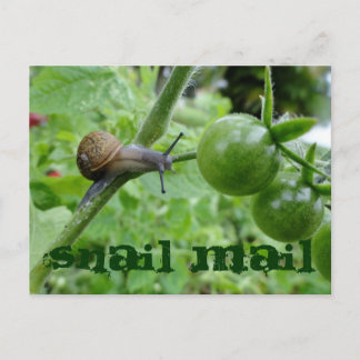 Cartão Postal Cartão-postal para correio lacunar