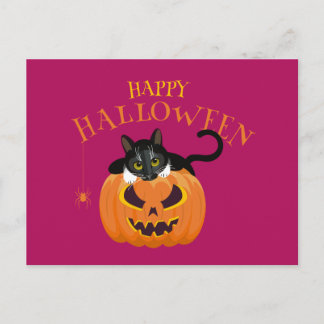 Cartão Postal Cartão-postal para diversão Feliz Halloween Cat