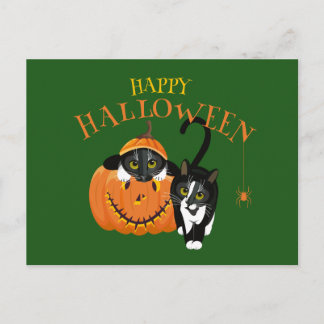 Cartão Postal Cartão-postal para diversão Feliz Halloween Cat