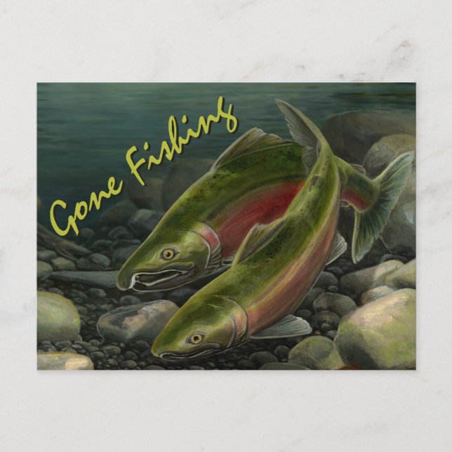 Cartão Postal Cartão-postal para o urso de pesca Cartão-postal p (Frente)