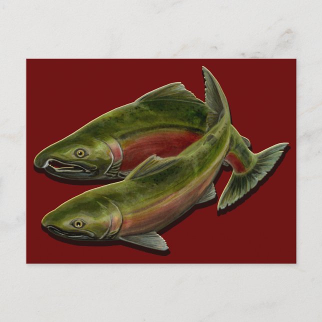 Cartão Postal Cartão-postal para o urso de pesca Cartão-postal p (Frente)