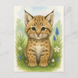 Cartão Postal Cartão-postal para os bebês Bobcat Kitten Cat Baby