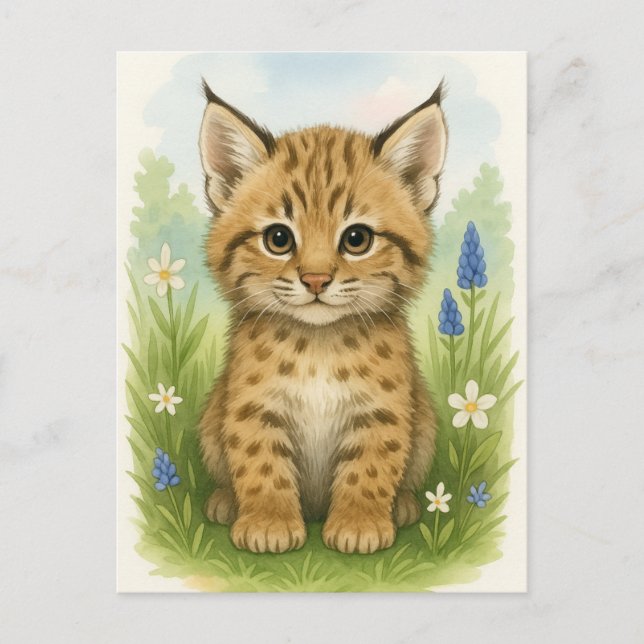 Cartão Postal Cartão-postal para os bebês Bobcat Kitten Cat Baby (Frente)