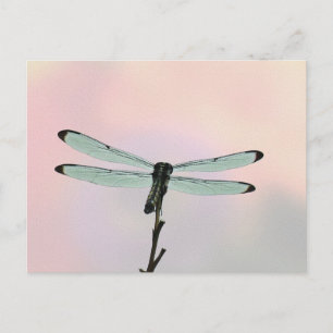 Cartão Postal Cartão-postal para Pastéis de iões de Dragonfly