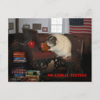 Cartão Postal Cartão-postal para testes em animais