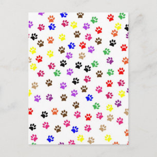 Cartão Postal Cartão-postal Paws