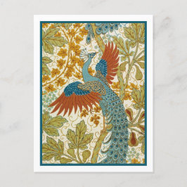 Cartão Postal Cartão-postal - Peacock