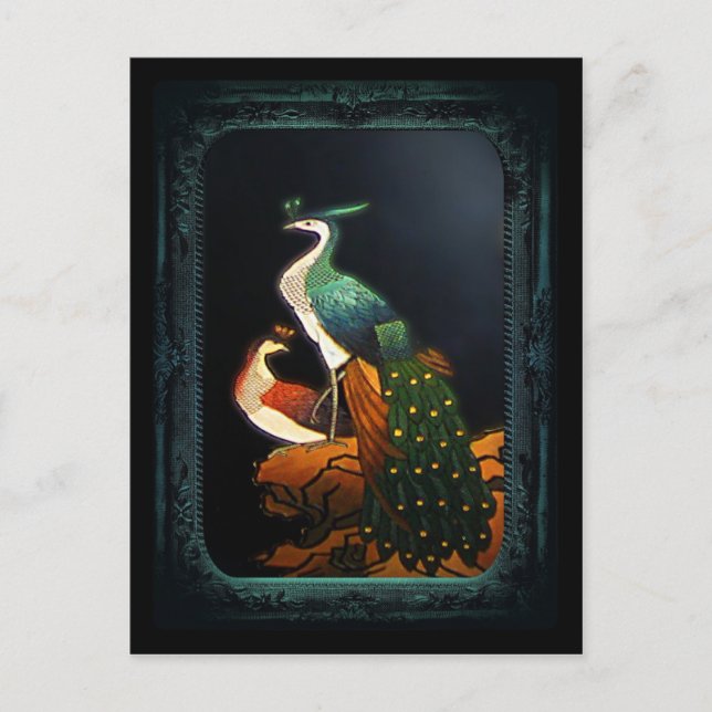 Cartão Postal Cartão-postal PeaSoot (Frente)