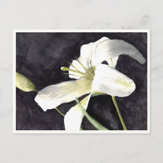 Cartão Postal Cartão-postal pequeno de 4,25" x 5,6" (Frente)