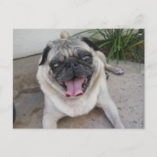 Cartão Postal Cartão-postal personalizado (Frente)